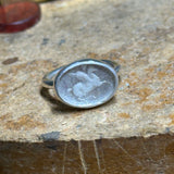 Pegasus Ring